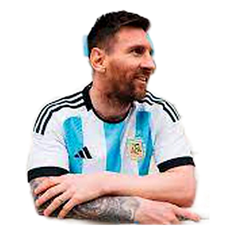 CAMISETA DE ARGENTINA QATAR 2022 CAMPEON