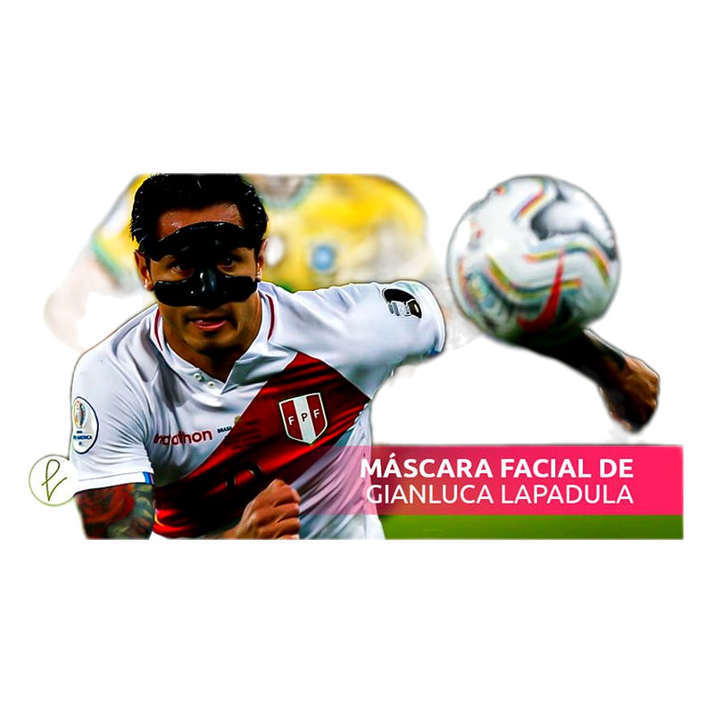 MASCARA FACIAL FACE GUARD STANDARD
