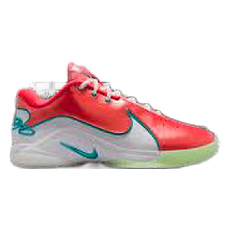 ZAPATILLAS BASKET LEBRON 22