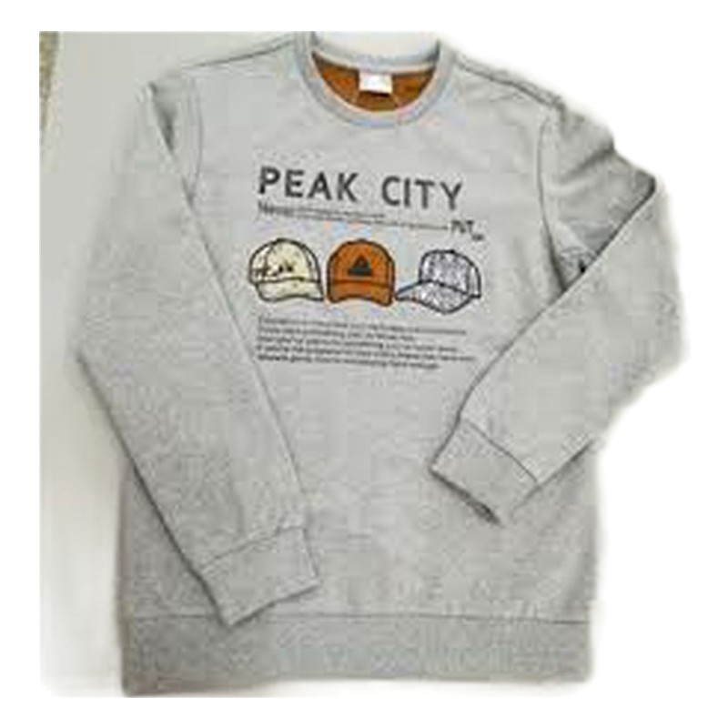 POLERA PEAK F651741-GRIS